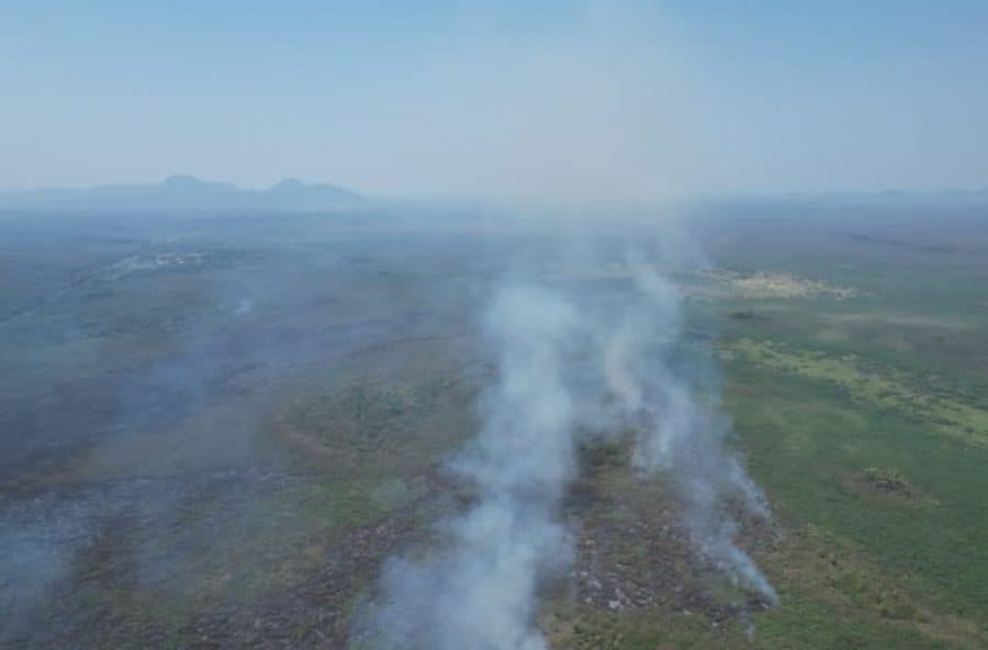 Apoiado pelo Fundect, projeto em MS busca alternativa para evitar incêndios no Pantanal