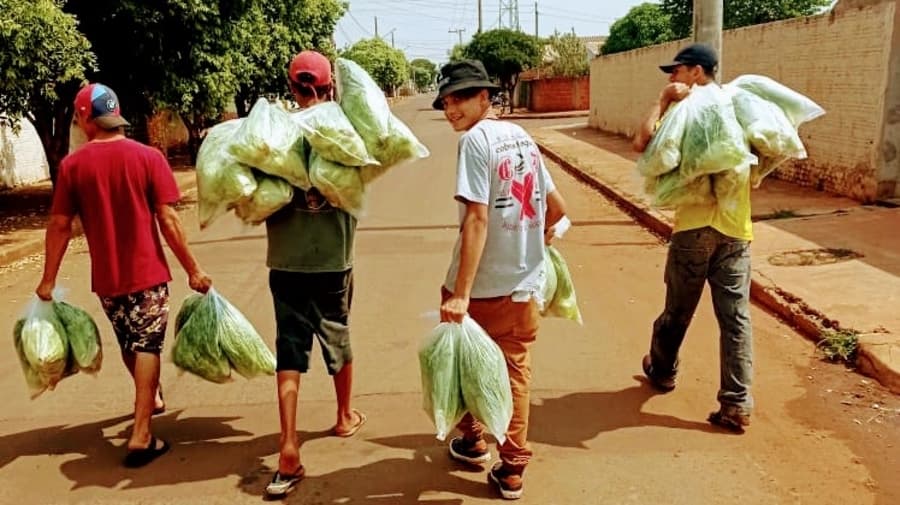 Jovens altruístas criam coletivo e distribuem gratuitamente mais de 500 verduras no município