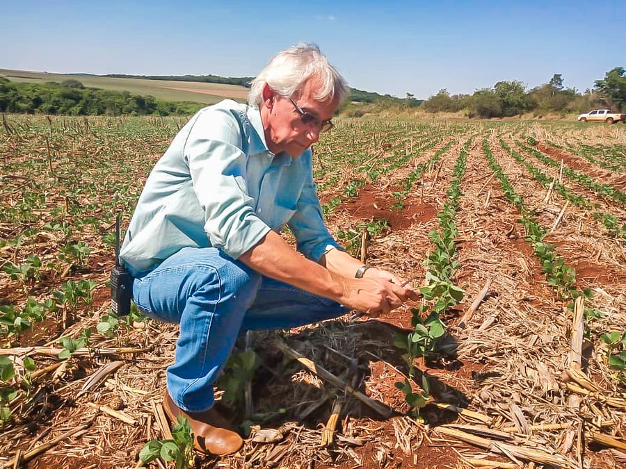 Agricultores de Maracaju investem em tecnologia para compensar baixo índice de chuva