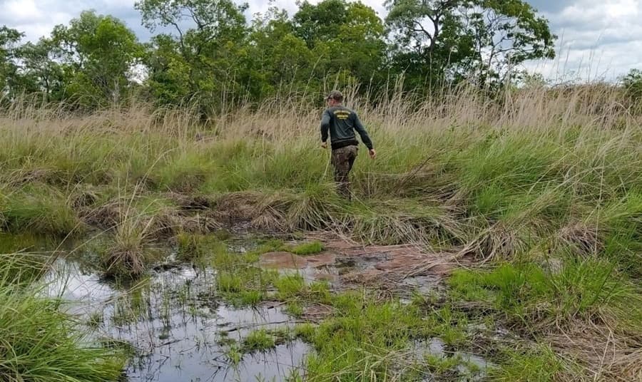 Pecuarista desmata 3,5 hectares de área protegida e é multado em R$ 20 mil