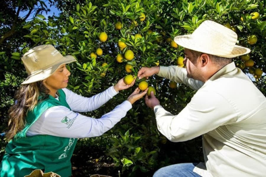 Inscrições para cursos técnicos em Agronegócio e Fruticultura terminam nesta quinta-feira