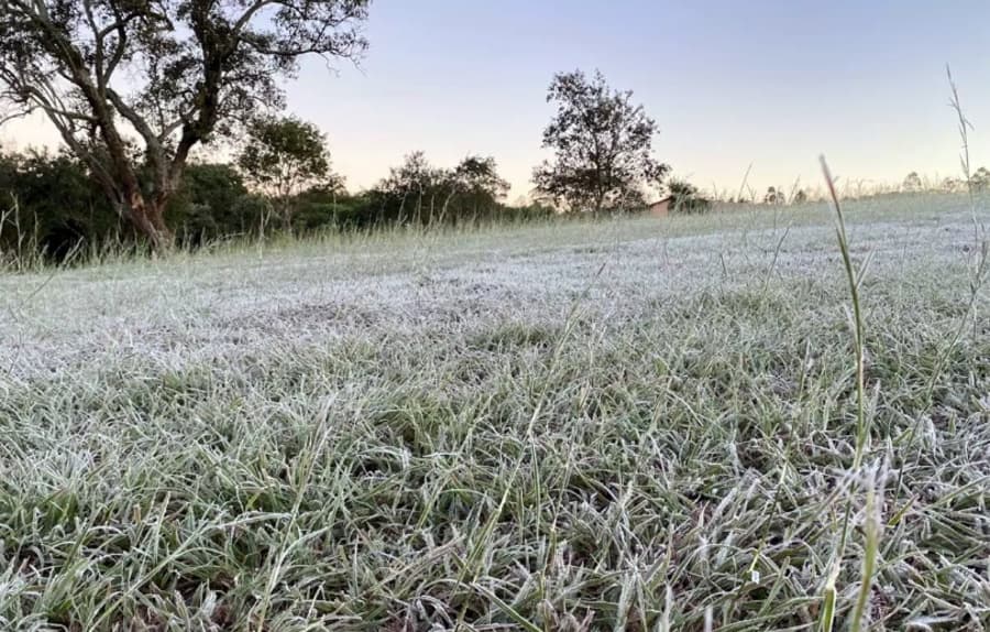 Sidrolândia e Maracaju registraram geada e temperatura deve subir só na quarta-feira