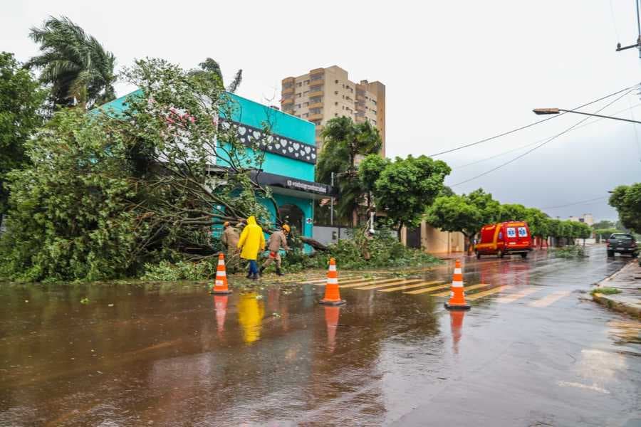 Com o apoio do Corpo de Bombeiros, Prefeitura organiza limpeza e retirada de árvores danificadas