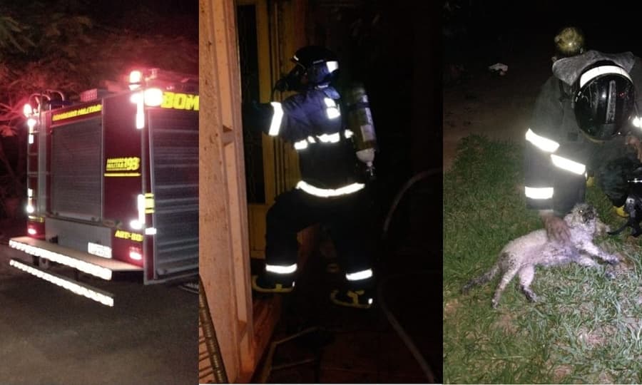 Residência pega fogo, Corpo de Bombeiros age rápido e salva animais presos no local