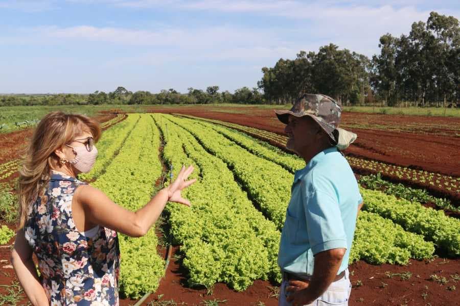 Com a ajuda de escoamento da Prefeitura, Sidrolândia lidera produção de hortigranjeiros