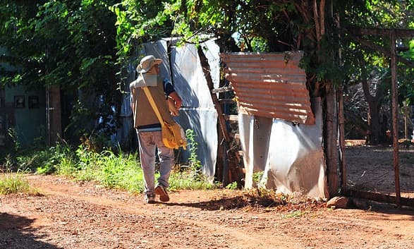 Com lixo em terrenos, cresce número de notificações de dengue na cidade