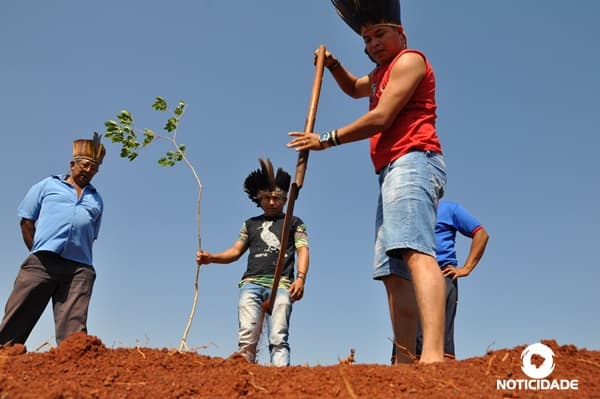 Indígenas fazem plantio de mudas de árvores doadas pela Corpal