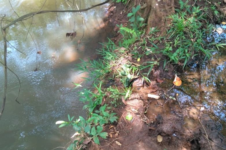 Fazendeiro é multado em R$ 8 mil por degradação ambiental em Maracaju
