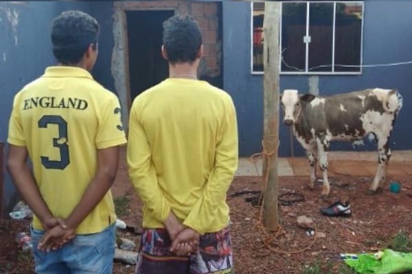 Garotos comemoram título do Corinthians furtando bezerra para fazer churrasco