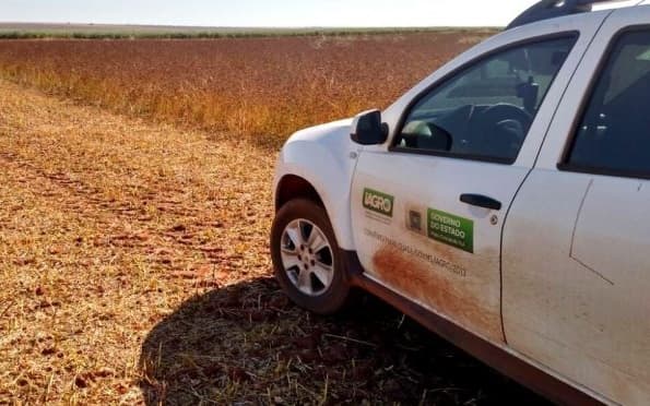 Maracaju ainda tem 10% de área plantada de soja para ser cadastrada no Iagro