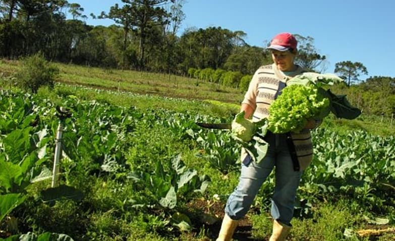 Prefeitura supera em 45% meta de aquisição de gêneros alimentícios da Agricultura Familiar