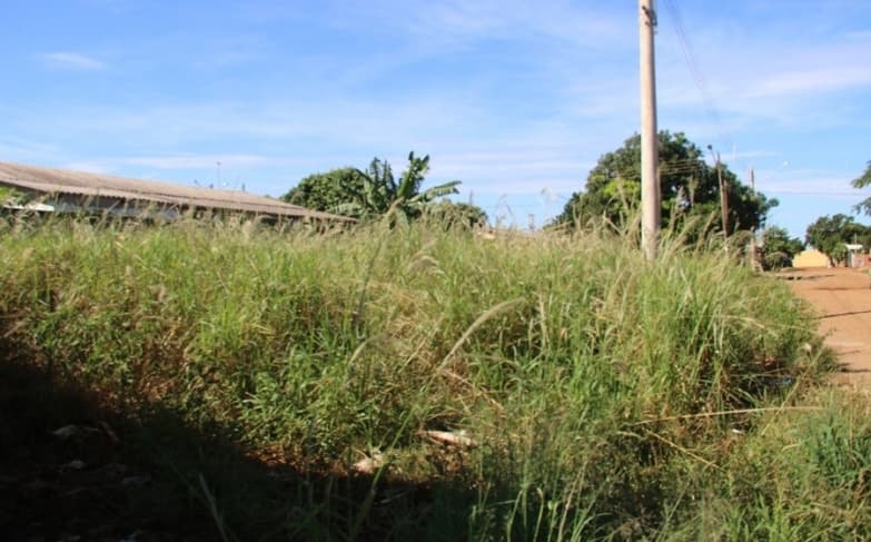 Lei determina que proprietários de terrenos baldios mantenham áreas limpas em Sidrolândia