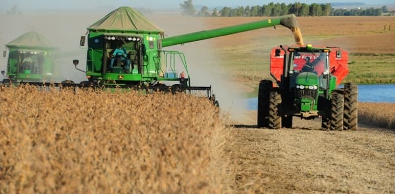 Produtores de Sidrolândia iniciam colheita após atraso por conta da chuva