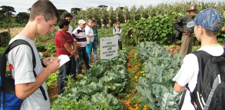 Senar oferece Curso Técnico em Agronegócio para Maracaju e outras 4 cidades