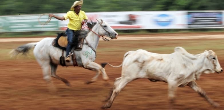 Festa do Laço começa no dia 07 de abril em Maracaju com cerca de 50 equipes