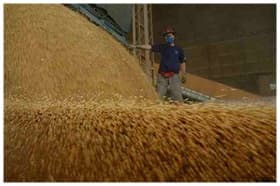 Após produção recorde, queda no preço da soja ameaça investimentos