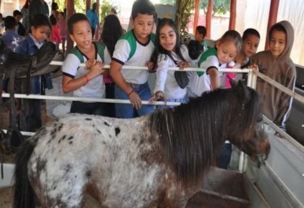 Sindicato Rural confirma mais uma vez projetos especiais para alunos durante Expomara