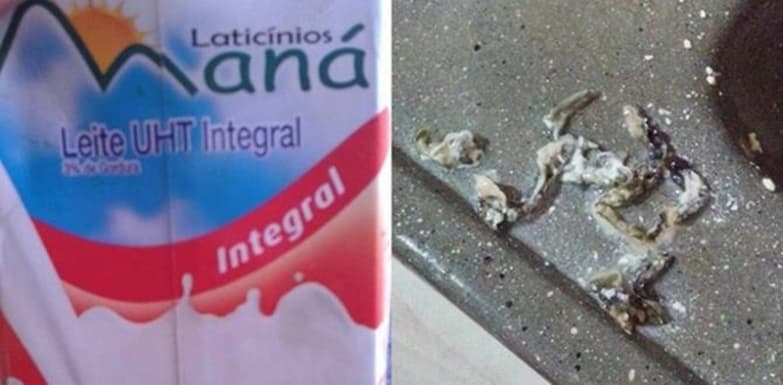buscar matéria