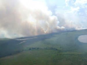 Queimadas avançam e atingem mais de 3 km da planície pantaneira