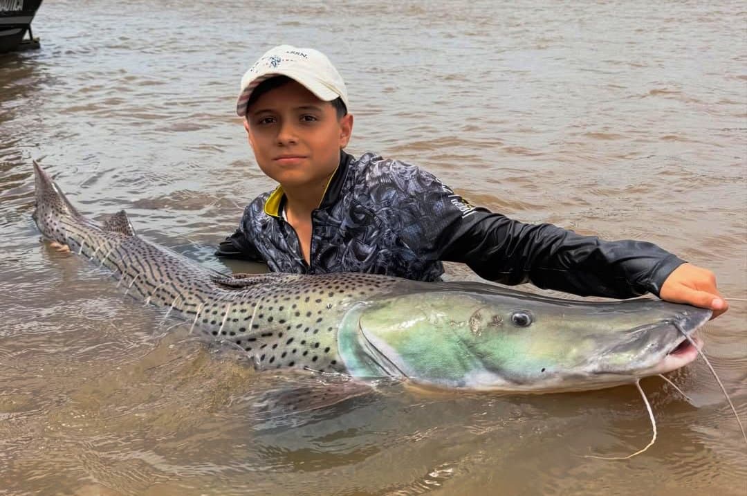 Adolescente de 13 anos captura pintado de 1,6 m em Maracaju e viraliza nas redes sociais
