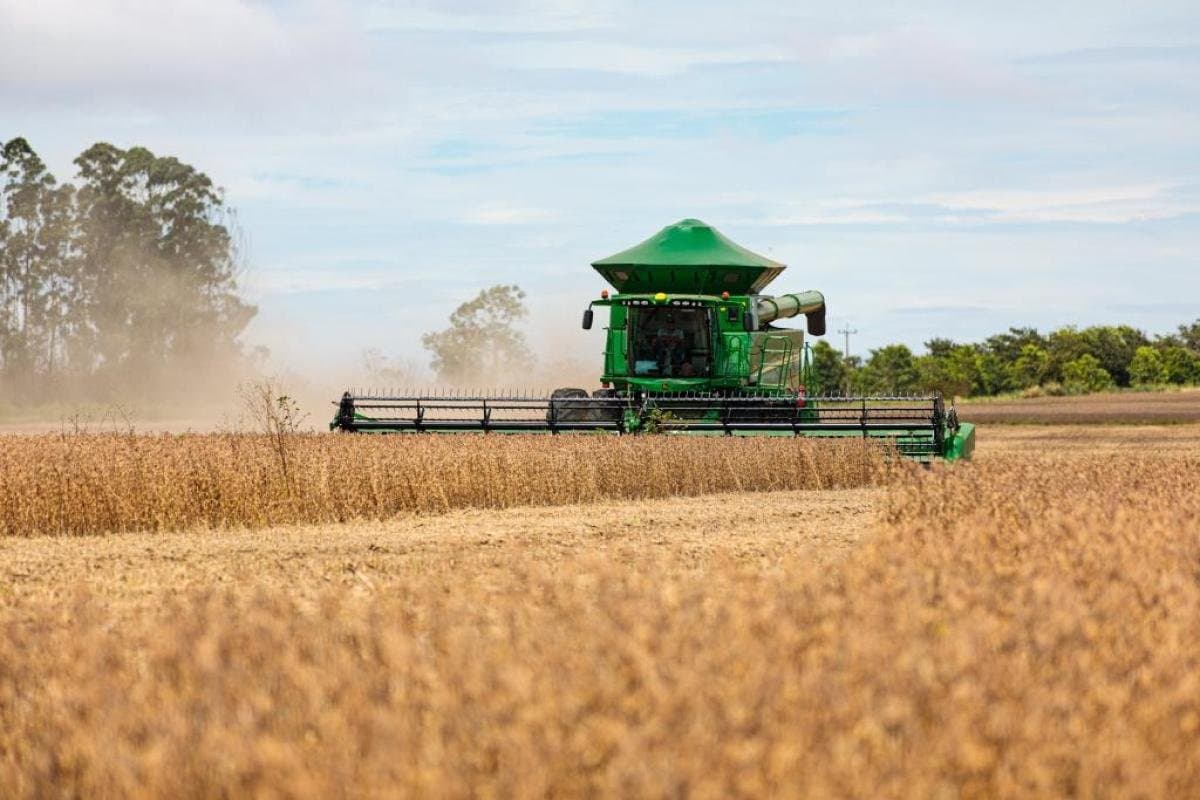 Sidrolândia se consolida como o 3º maior produtor de soja de Mato Grosso do Sul na safra 2025/2026