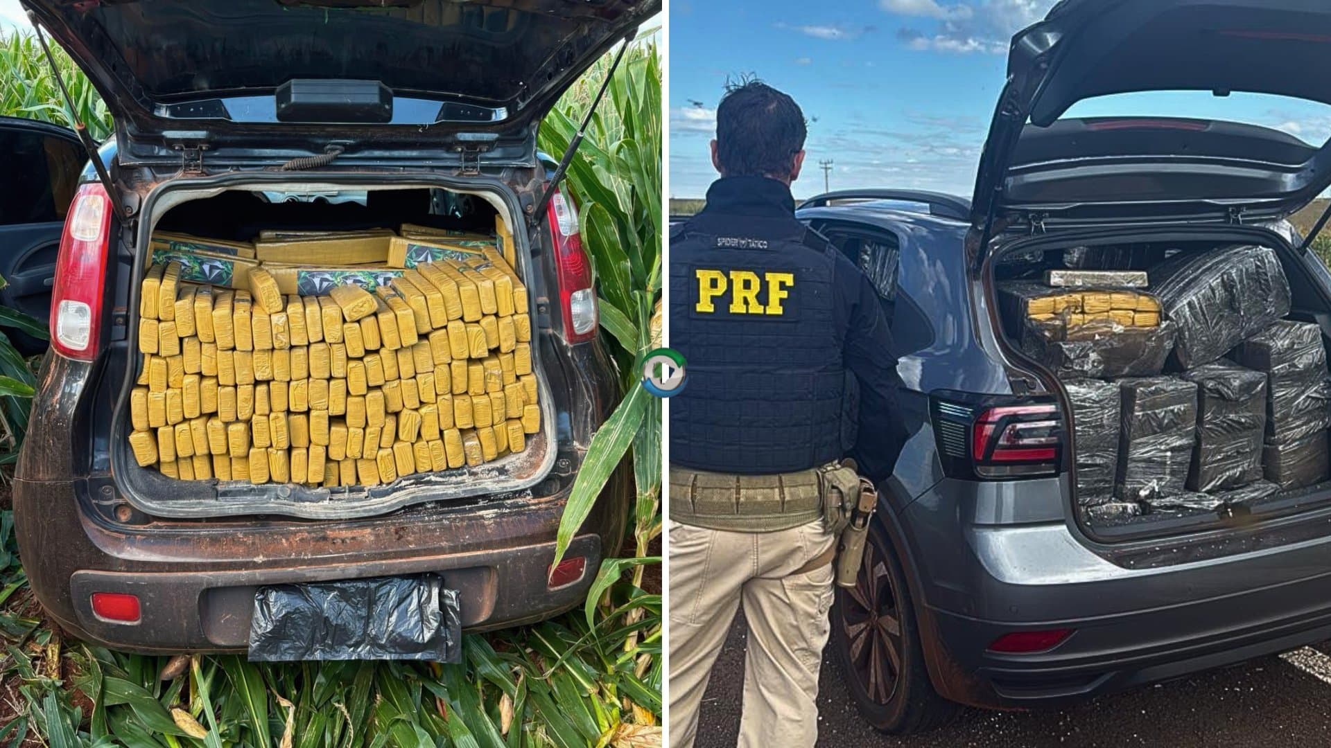 Polícia Rodoviária Federal apreende quase duas toneladas de maconha em Sidrolândia e Maracaju