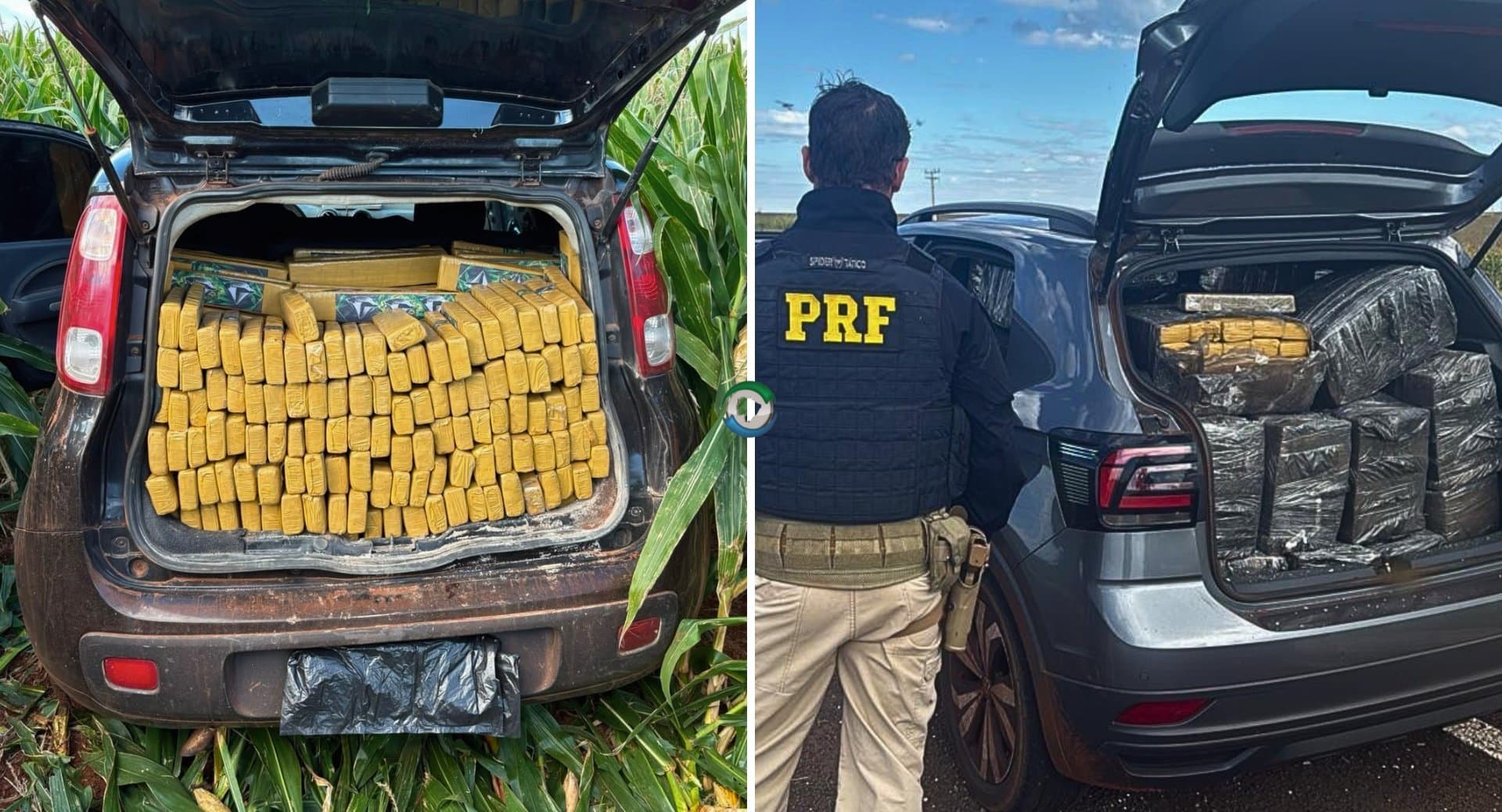 Polícia Rodoviária Federal apreende quase duas toneladas de maconha em Sidrolândia e Maracaju