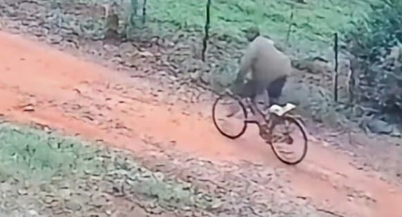 Suspeito de matar homem a facadas em Sidrolândia continua foragido e é procurado pela polícia