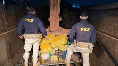 PRF apreende mais de 3,4 toneladas de maconha durante abordagem na BR-060 em Sidrolândia