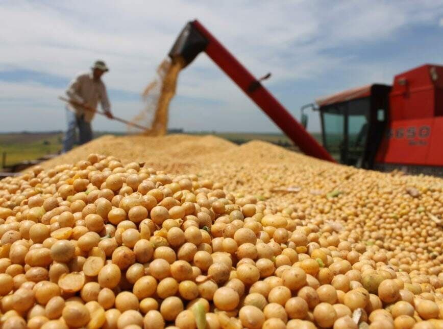 Maracaju retoma liderança na produção de soja em MS e se destaca entre maiores produtores do país