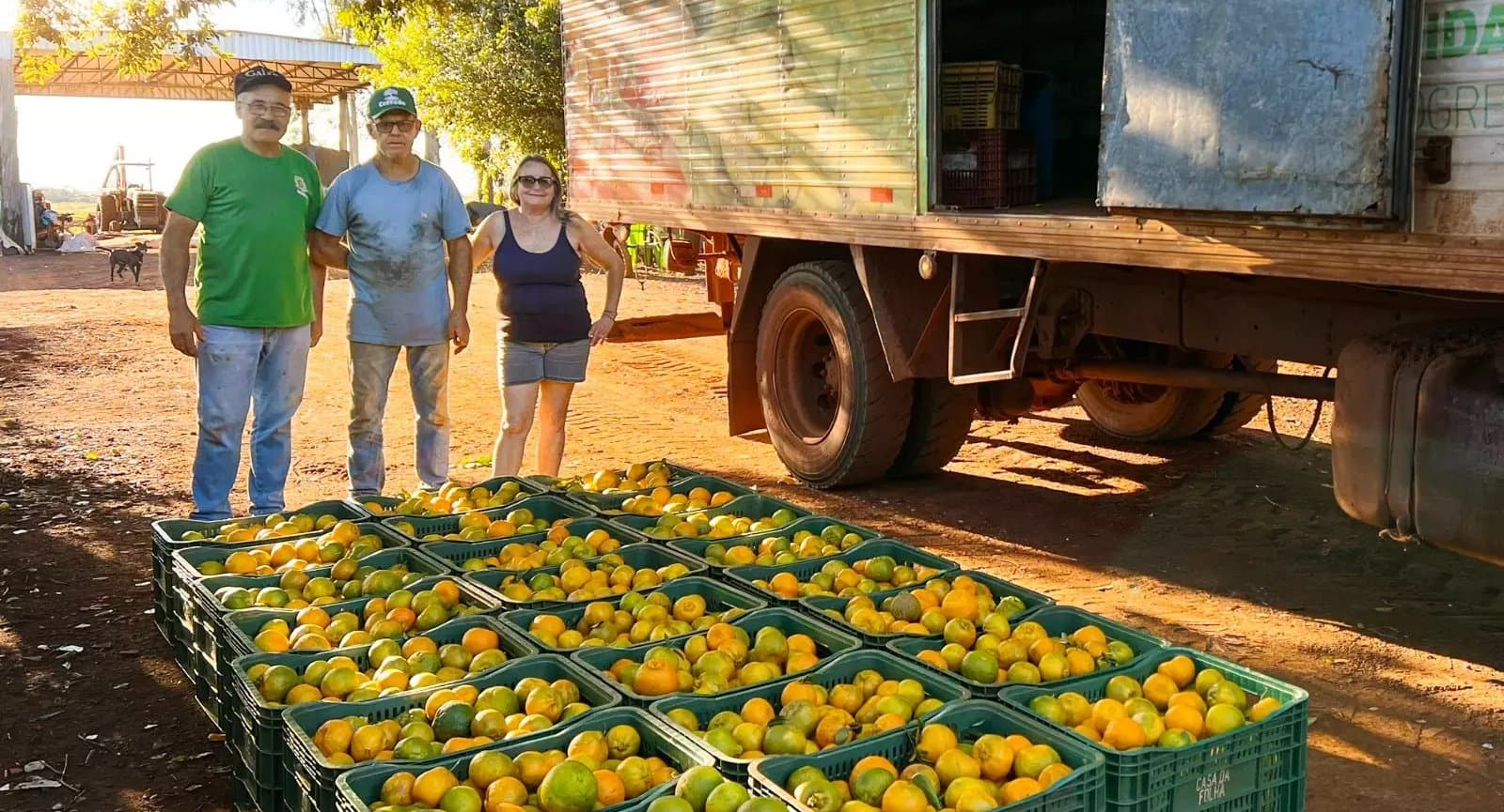 Sidrolândia lidera fornecimento de frutas, legumes e verduras para a Ceasa-MS